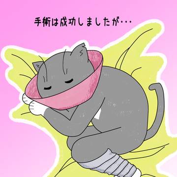 ウチのグレ蔵　第10話