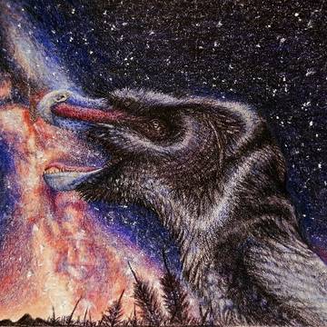Star Gazer