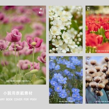 小説用表紙【wild flower】