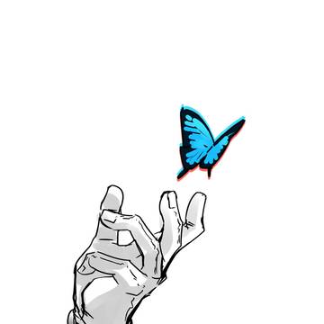 The Butterfly Dream