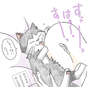 ほしにゃん詰め合わせ