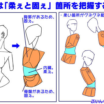 トルソーは【固いと柔い】を把握するとポーズが描きやすい