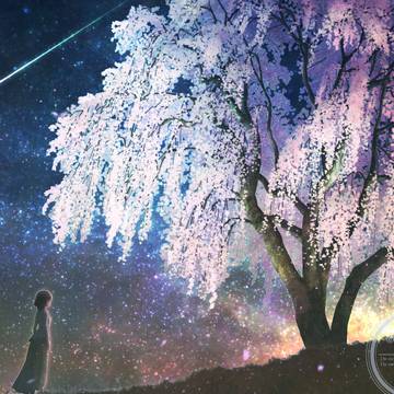 星と桜が降る夜に