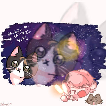 シャチちゃん3歳のお誕生日おめでとう！