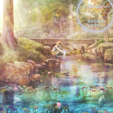 睡蓮の花が眠る前に