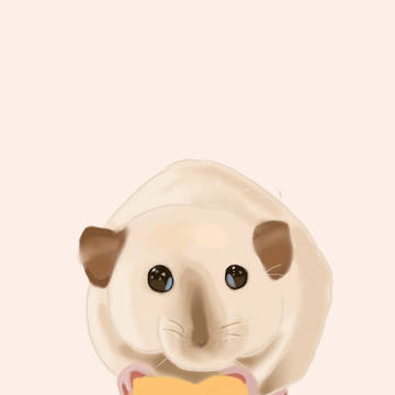 ネズミだよ🐭