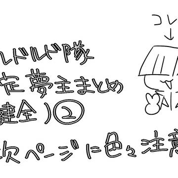 ボ隊固定夢主まとめ②