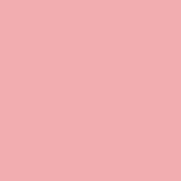 桜の下で