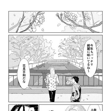 テラとふみやと桜の樹