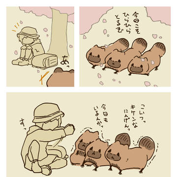 たぬきと桜の花びら