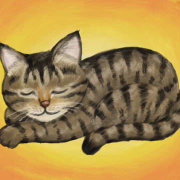 おねんね猫