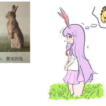 警觉的兔