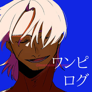 ワンピログ⑨