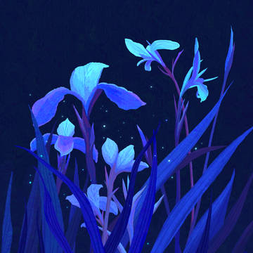Blue