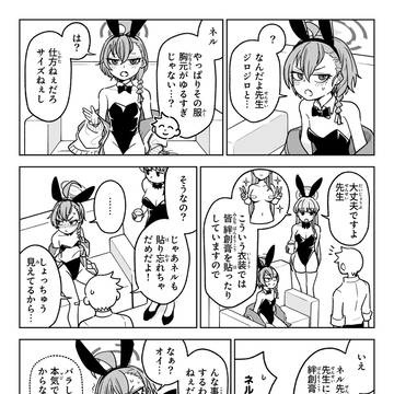 上から見えるぞ!バニーネル