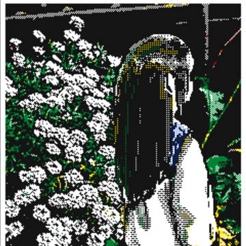 Morning Flowers