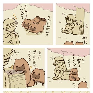 たぬきと小学生