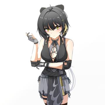 漂泊者