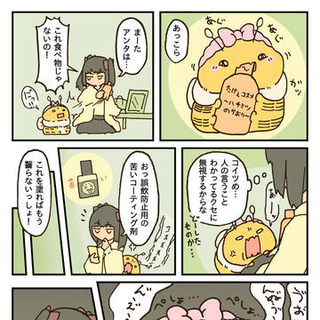 カジカジ