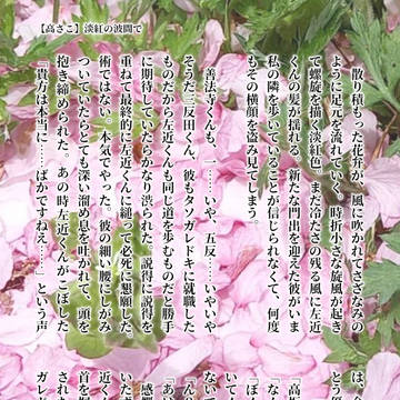 【高さこ】淡紅の波間で