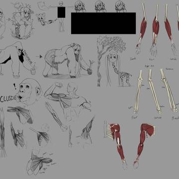 Studies and Fun