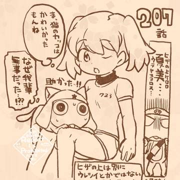 Page 13 thumbnail