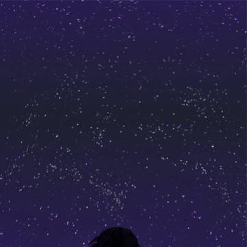 世界で一番星が綺麗に見える場所