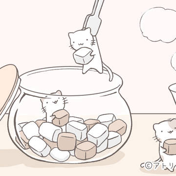 砂糖を運ぶねこたち