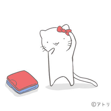 一線を越えようとするねこ