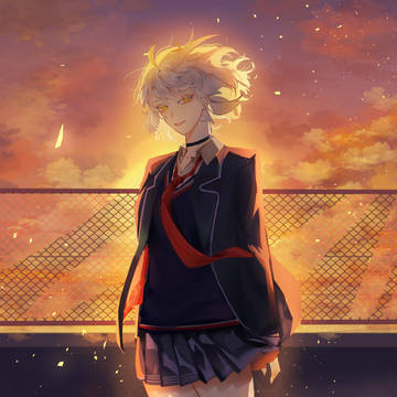 fgo log