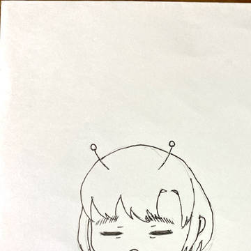 シラギクホタルホタル詰め合わせ
