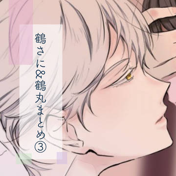 鶴さに（鶴丸）LOG③