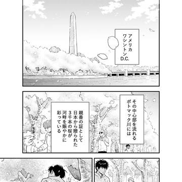 🌸誕お祝い漫画（流花）