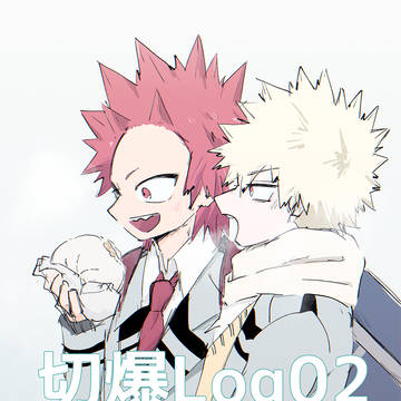 切爆log2