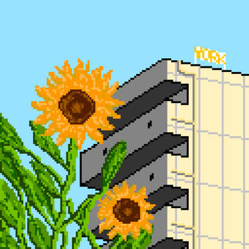 ひまわり