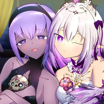 HSRxFate fan art