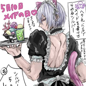 女装注意 シルバー・セベク