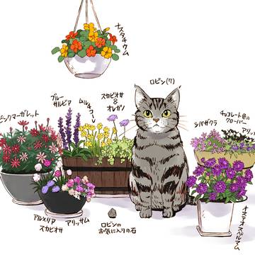 ベランダの花とロビン