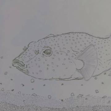 ショップで見かけた可愛いやつ