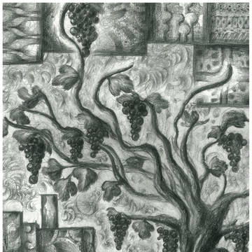 Vitis PHANTOM