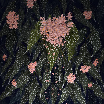 花落下的声音