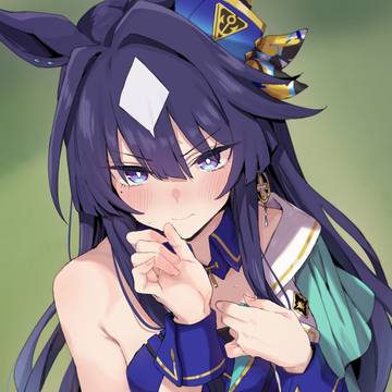 祝・ヴィルシーナ実装