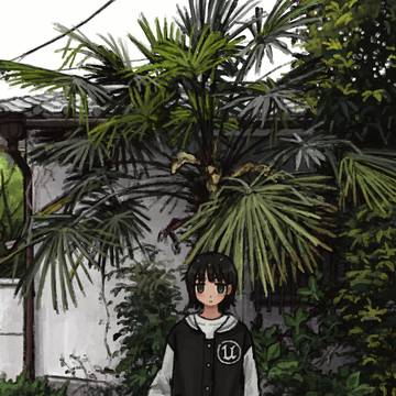 曇りの日の棕櫚
