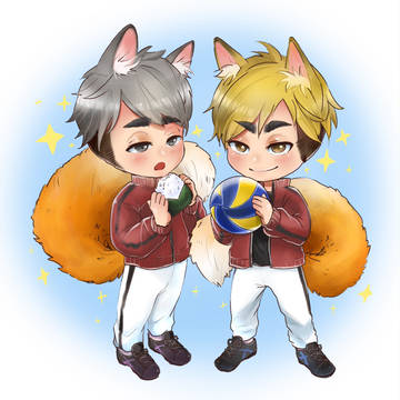 FOX TWINS