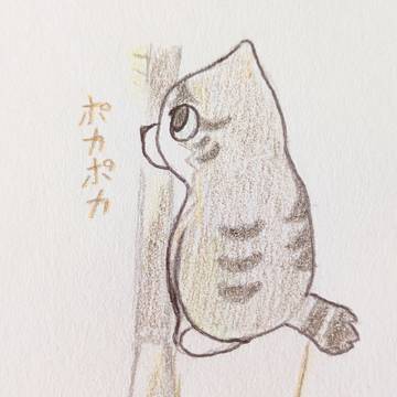 ぽかぽか