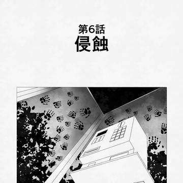 積(#6)