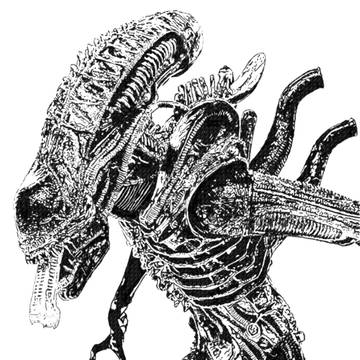 Xenomorph