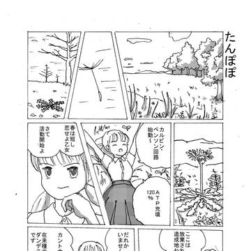 たんぽぽ