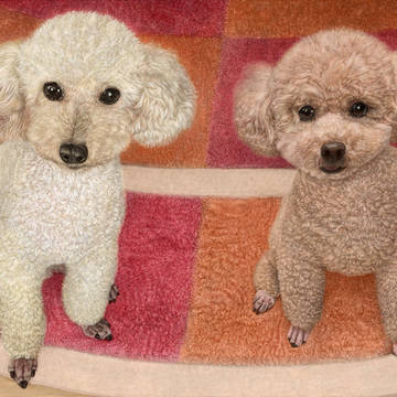 愛犬
