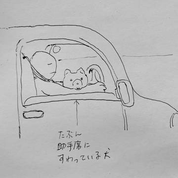 Page 6 thumbnail